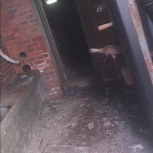 Meet your Posher, Katy